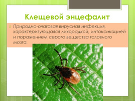 Важная информация Важная информация.